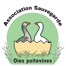 Logo de l'ASOP (Association de Sauvegarde des Oies Poitevines)